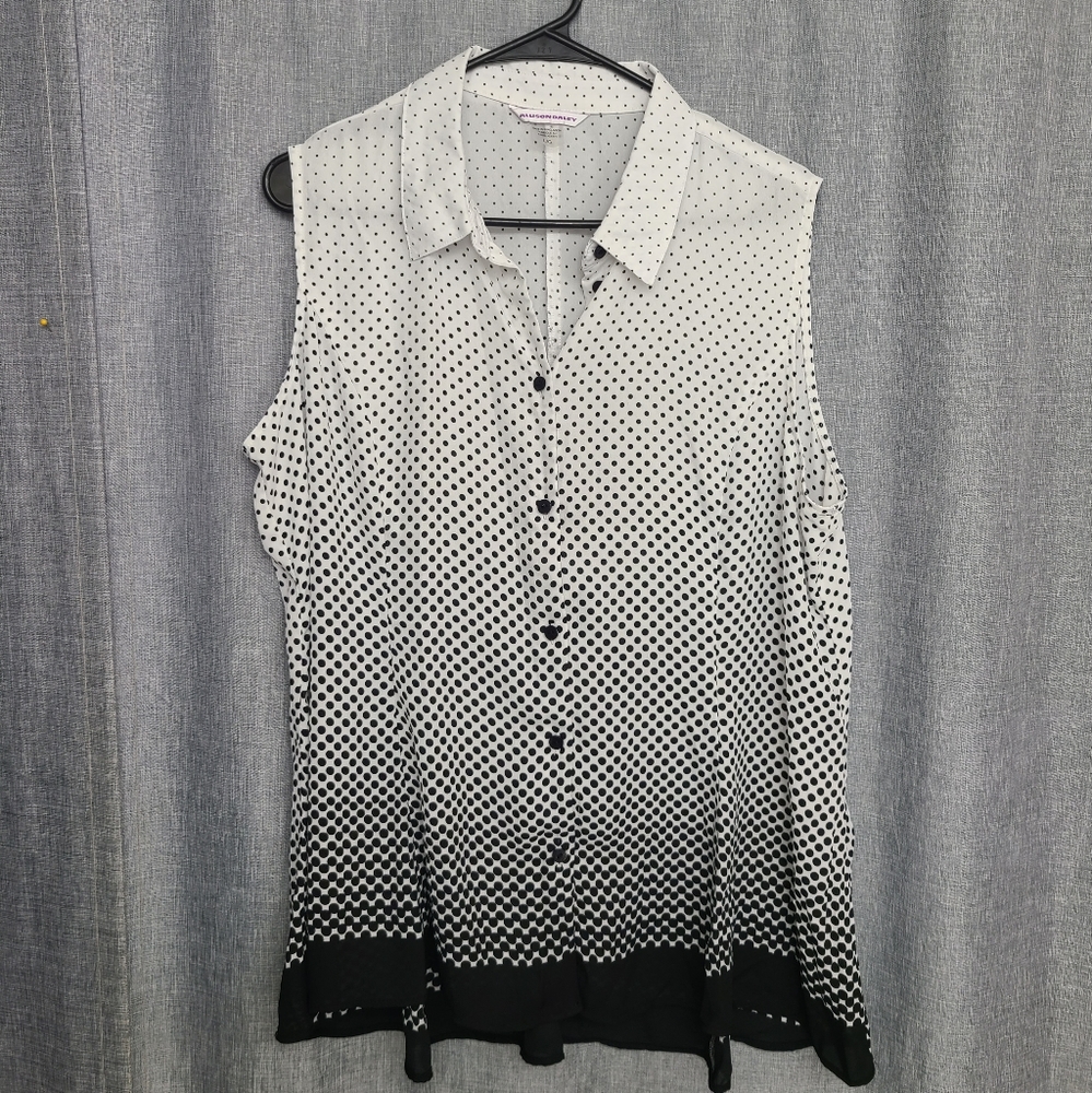 Allison Daley tunic blouse